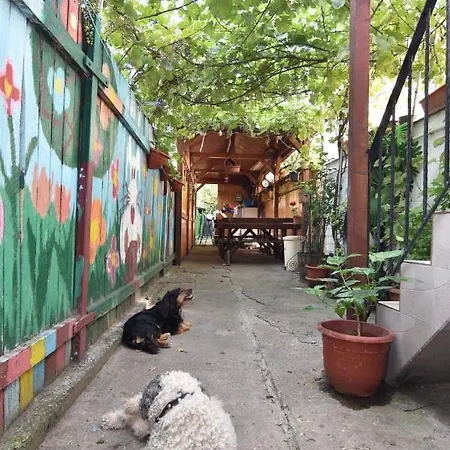 Spr House *